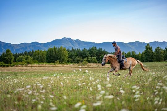 In this beautiful Croatian region, there are as many as three national parks! There’s also a river that ‘disappears’ and warm-hearted people with the widest smiles In this beautiful Croatian region, there are as many as three national parks! There’s also a river that ‘disappears’ and warm-hearted people with the widest smiles