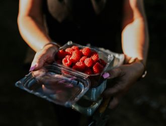 Borčić Bertil Vladimir family farm